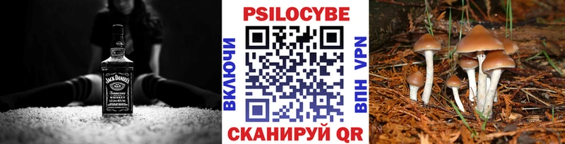 Галлюциногенные грибы ЛСД  купить наркотик  блэк спрут сайт  Чёрмоз 